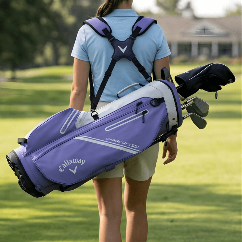 Callaway Chase Dry Stand Bag zilver paars